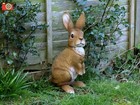 LOOK OUT RABBIT. Vivid Arts. Lovely Ultra Realistic Home & Garden Ornament. 