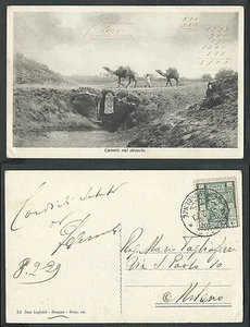 CARTOLINA LIBIA CAMMELLI NEL DESERTO - C - Foto 1 di 1