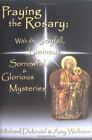 Praying The Rosary: With The Joyful, Lumin- 1592760376, Dubruiel, Paperback, New