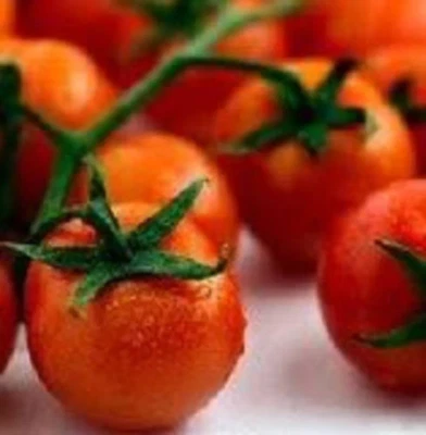 SEEDVILLE USA 300 SMALL Red CHERRY TOMATO Lycopersicon Lycopersicum Fruit Vegetable Seeds