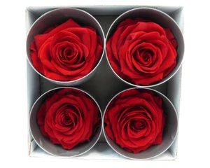 Premium Stabilisierte Rose 4 Stück - Bild 1 von 1