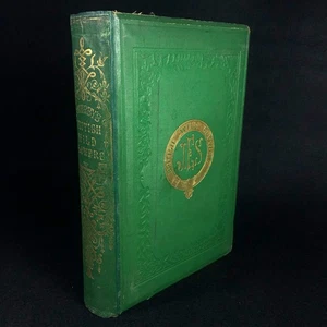 British Wild Flowers ~ John E. Sowerby ~ 1876 Early Edition Botany Gardening - Bild 1 von 19