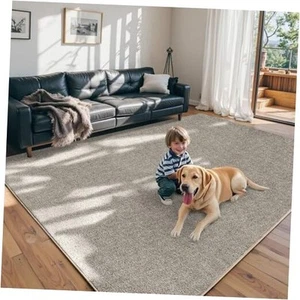 FinRèc 6x9 Washable Rugs for Living Room Bedroom, Soft Modern Indoor Fluffy - Picture 1 of 8
