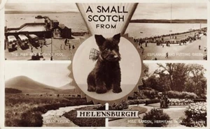 3 Early SCOTTISH TERRIER Helensburgh Glencoe Dunoon Multi View Postcards - Picture 1 of 3
