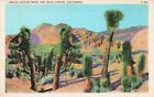 Joshua Tress, Red Rock Canyon, CA Vintage PC