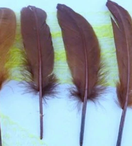 Goose Satinettes 25 Feathers 6-8" Choose Color or MIX feather Quills - Picture 1 of 34