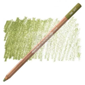 MATITE COLORATA SECCA " PASTEL PENCILS " CARAN D'ACHE 017 GIALLO RESEDA - Picture 1 of 2