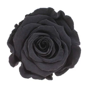 Infinity Rose XL Ø6-7cm konserviert stabilisiert haltbar Rosenkopf ewige Blüte - Bild 1 von 78