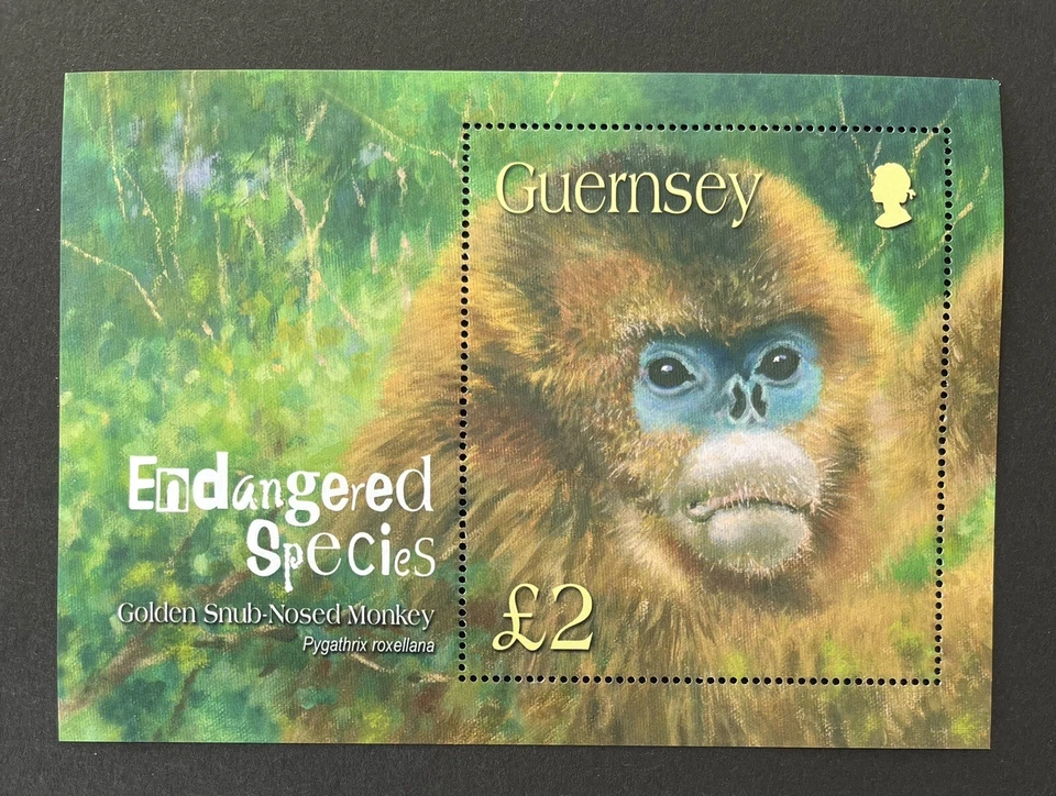 MINI SÁBANA MONO NARIZ DESAIRE ESPECIE PELIGRO MNH Guernsey 2004 MS1016 Foto 1 de 1