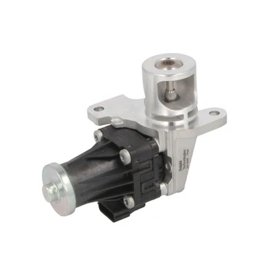 AGR Ventil DELPHI EG10566-12B1 - Bild 1 von 3