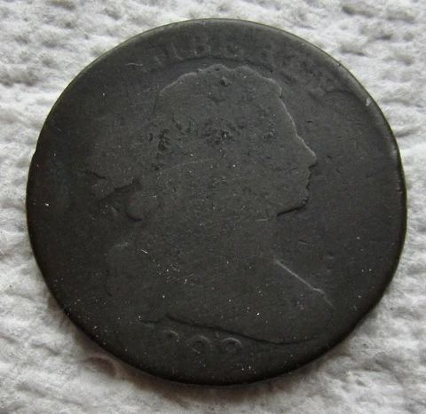 1802 1C BN Draped Bust Large Cent Chocolate Brown Reverse Damage Cover