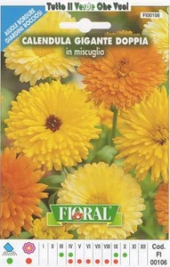 Calendula Gigante Doble - Lechos de Flores Ribete Rocciosi-Floral - Semilla - Imagen 1 de 1