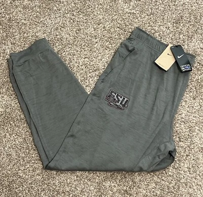 Мужские тренировочные штаны Nike Florida State Seminoles Official On-Field Dri-Fit серые XXL - Изображение 1 из 4