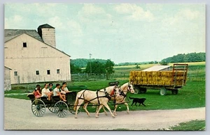 Postcard Horse Buggy near Berne Indiana - Bild 1 von 2