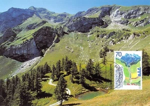 Tarjeta Máxima FDC LIECHTENSTEIN Año De Las Montañas 2002 Marzo MK 203 N2 - Bild 1 von 2