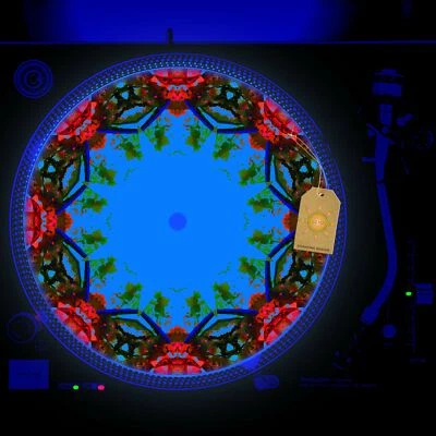 Organic Watercolor Turntable Slipmat GLOW BLACKLIGHT 12 inch for - Image 1 of 2