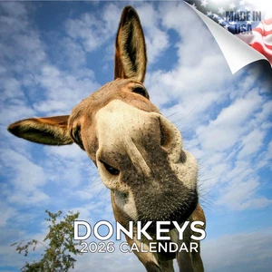 DONKEY FUNNY Wall Calendar 2026 Farm Animal GAG Lover Gift - Picture 1 of 2