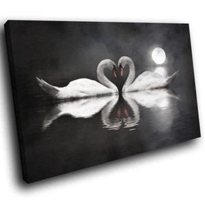 A371 Swans White Black Grey  Funky Animal Canvas Wall Art Large Picture Prints - Picture 1 of 6