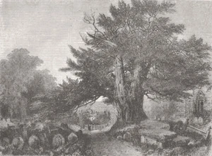 CHURCHES. Art Exhibition. Country Churchyard 1856 old antique print picture - Picture 1 of 1