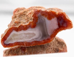 2.29oz Polished Berber Agate Face Side Geode Nodule Slice Half Natural Rough - Picture 1 of 7