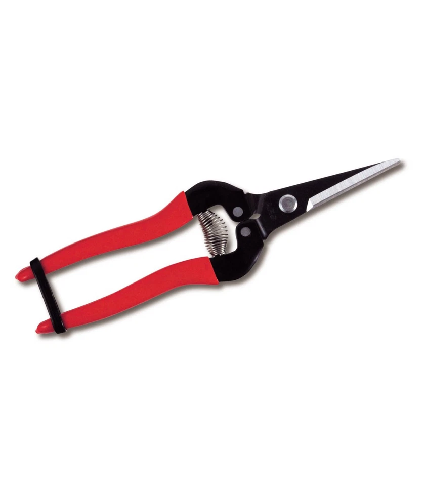 ARS 300L FORBICE PROFESSIONALE PER FRUTTA - Immagine 1 di 1