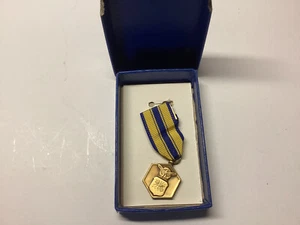 US Vietnam War Air Force Medal GREAT SHAPE! - Picture 1 of 2