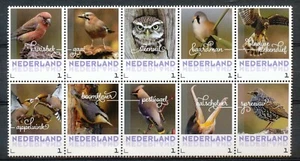 PERSOONLIJKE POSTZEGELS -  10 NEDERLANDSE VOGELS                         Hk497k - Imagen 1 de 1