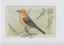 1922 Arm & Hammer Useful Birds of America Series 3 Prothonotary Warbler #7 9at