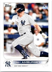 2022 Topps Series 1 - Trey Amburgey #263 (RC) - Bild 1 von 2