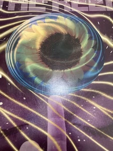 BOOK The Reel Directory (1996 - 1997) Northern California - Picture 1 of 1