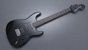 Squier Standard Series Stratocaster ¡Embalaje seguro! - Imagen 1 de 6