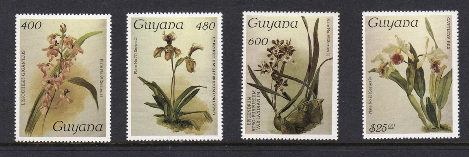 1987 Guyana Reichenbachia Orchids 22nd Issue 4 values MNH stamps - Image 1 of 1
