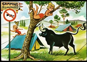 Vacation Camping Tranquilite Unexpected Visitor Comic Postcard - Picture 1 of 2
