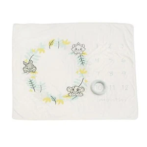 Bezaubernde Disney Baby Motto Monate Meilenstein Foto Decke Babyparty Geschenk - Bild 1 von 2