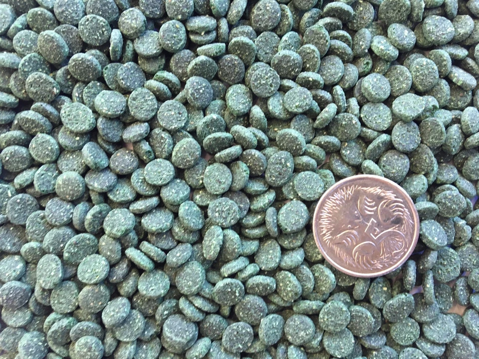 50g Algae Sinking Pellets Spirulina Wafers 5mm - Bottom Feeders Cat Fish food - image 1 of 1