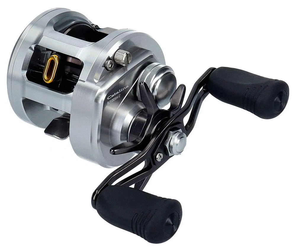 リール DAIWA CATALINA IC 100SH/100SHL s-l1200.webp