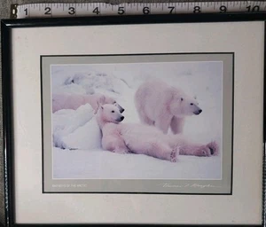 Thomas D. Mangelsen copyrighted 1993 Bad Boy Of The Arctic  Print Size  5"×7" - Picture 1 of 6