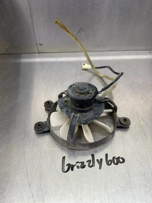 01 00 99 98 OEM Yamaha Grizzly 600 4x4 Ventilador de radiador de refrigeración YFM600F Foto 1 de 4
