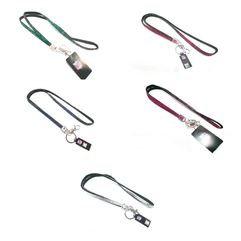 NFL Aminco Crystal Lanyards All Teams Official Licensed - Pick Your Team! Cover
