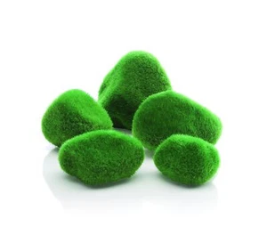 46084.0 Moss Pebbles Aquariums - Picture 1 of 7