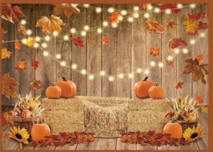 Fall Backdrop Photography Photo Background Holiday Portrait Pumpkin Banner 7'x5' - Picture 1 of 3
