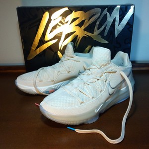 lebron low sneakers