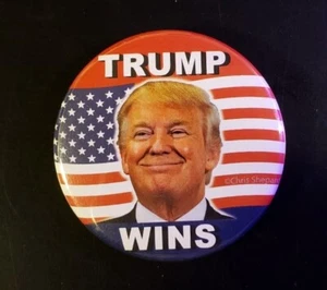 Donald Trump Presidential Candidate Pin - Trump Wins - Picture 1 of 1