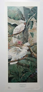 Parrots in Paradise 1 de Vicente Rocca, impresión de reproducción - Imagen 1 de 1