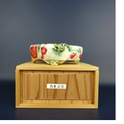 Japanese Bonsai pot MASASHI FURUMOTO sign MOKKO Glazed Frog w/ Box w5.1" *915 10 - Image 1 of 4