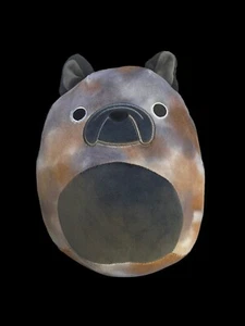 Squishmallow BALLIS THE FRENCH BULLDOG Puppy Dog 7.5" Soft Plush Kelly Toy NWT - Picture 1 of 8