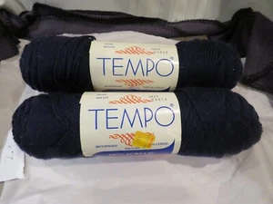 Lote De Colección De 2 Hilos Acrílicos Skein Tempo Worsted 4 Capas Azul Marino 4 Oz A Prueba De Polillas - Imagen 1 de 6