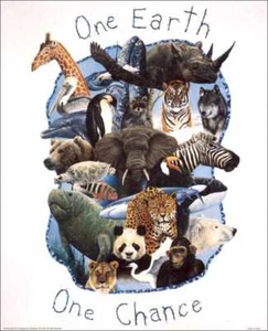 One Chance Tiere Papier Tole 3D Decoupage Bastelset Größe 8x10 Zoll 52066 - Bild 1 von 1
