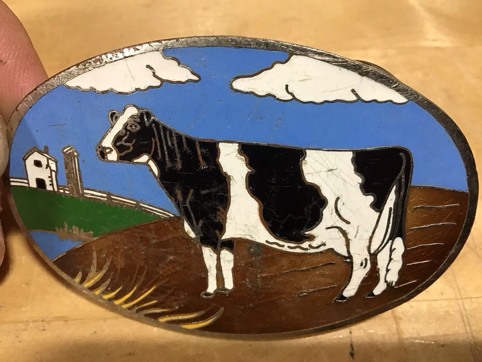 Vintage Dairy Cow Holstein Belt Buckle, Ace Supply Elgin Illinois. 1980s - Image 1 of 3