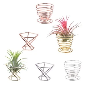 6pcs/Pack Air Plant HoldersWire Metal Plants Stand Planter ShelvesAirplant Co... - Picture 1 of 8